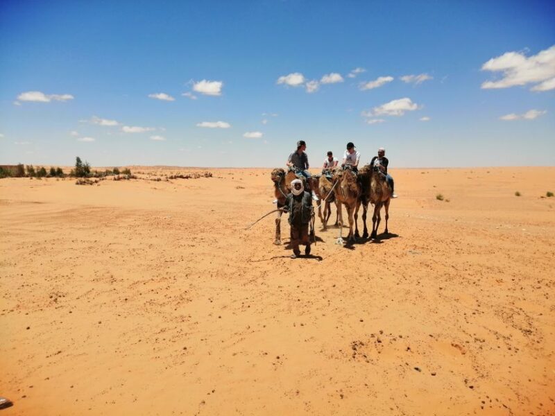 Djerba: Ksar Ghilane and Berber Villages Day Tour With Lunch - Key Points