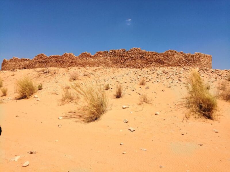 Djerba: Ksar Ghilane and Berber Villages Day Tour With Lunch - Camel Ride Experience
