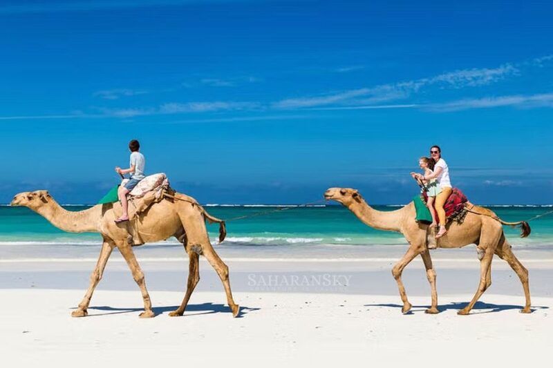 Djerba: Lagoon Camel Ride Experience - Stunning Djerba Lagoon