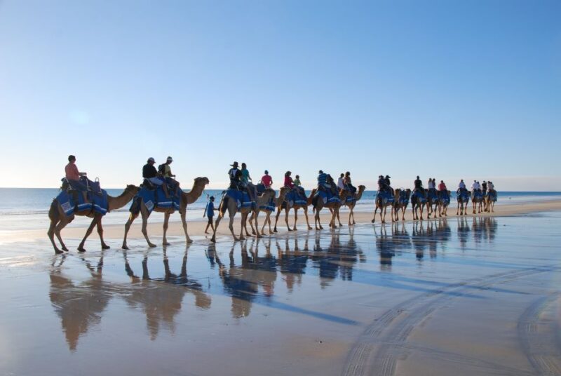 Djerba: Lagoon Camel Ride Experience - Experience Riding on Camelback