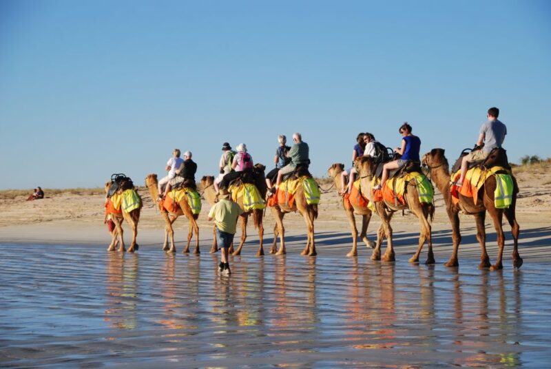Djerba: Lagoon Camel Ride Experience - Pricing Details and Options