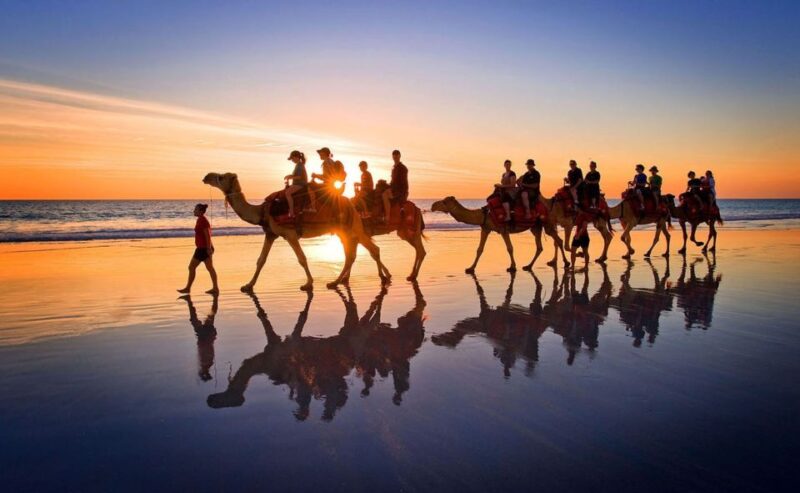 Djerba: Lagoon Camel Ride Experience - Booking Your Camel Ride Experience