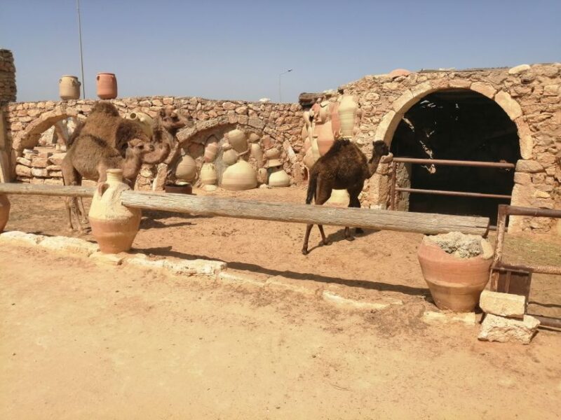 Djerba: Pottery Village and Heritage Museum Tour - Pottery Workshop Experience