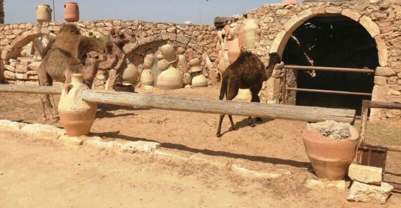 Djerba: Pottery Village and Heritage Museum Tour - Visit to Traditions & Heritage Museum