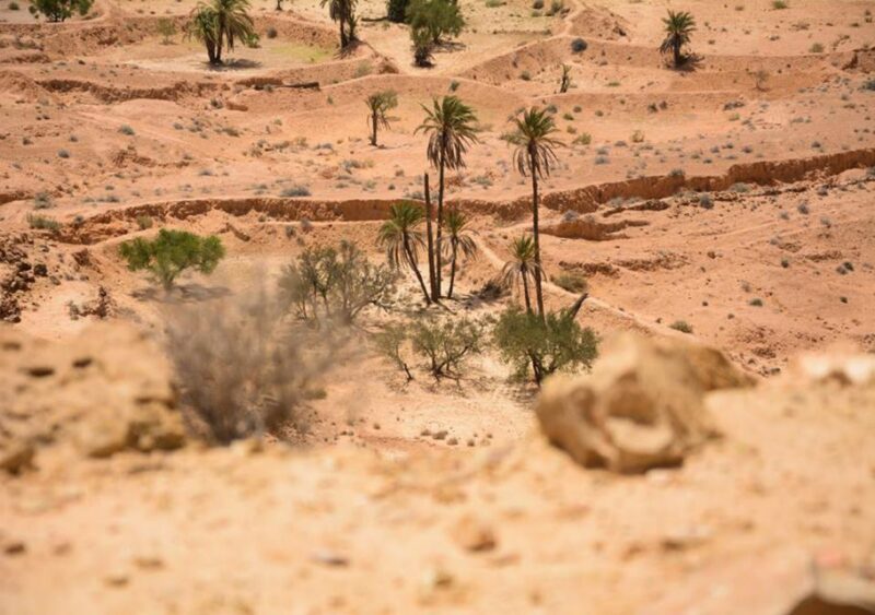 Djerba-Zarzis: Tataouine, Chenini and Ksar Hadada Day Tour - Visiting Chenini Village