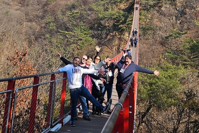 DMZ Guided Tour From Seoul (Option: Red Suspension Bridge) - Booking and Availability