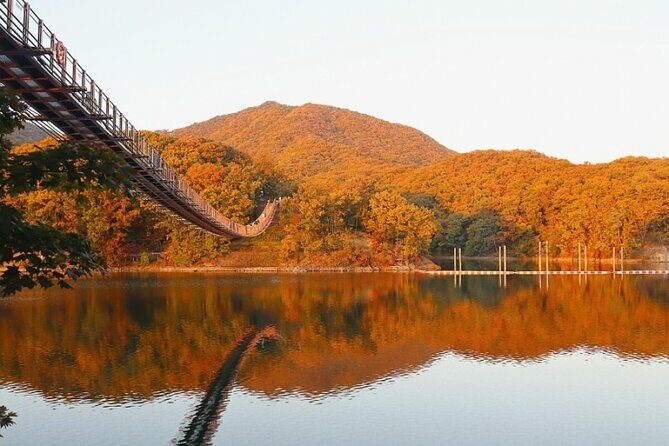 DMZ Private Tour: 3rd Tunnel, Option(Suspension Bridge, Boat) - Final Thoughts: Is This Tour for You?
