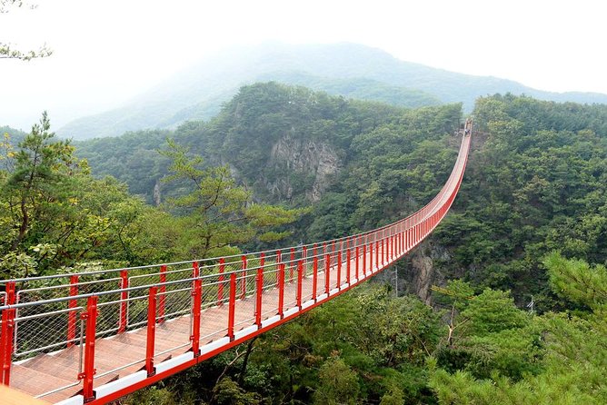 DMZ Tour: 3rd Tunnel, Option(Suspension Bridge, Boat) From Seoul - Suspension Bridge Option