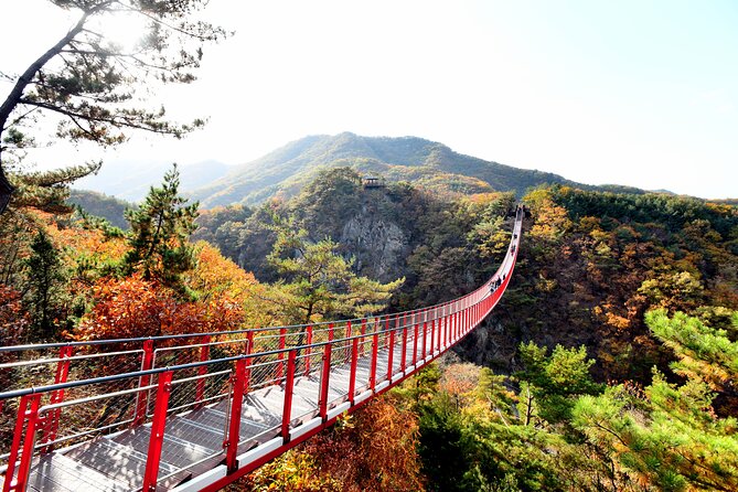 DMZ Tour: 3rd Tunnel & Red Suspension Bridge From Seoul - Inclusions