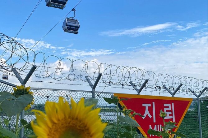 Dmz(Demilitarized Zone-Infiltration Tunnel) With North Korean Food - Sampling North Korean Cuisine