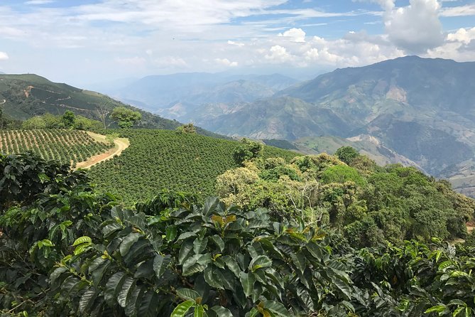 Do It Yourself 11 Days Tour in Colombia (Customizable) - Included Activities and Excursions