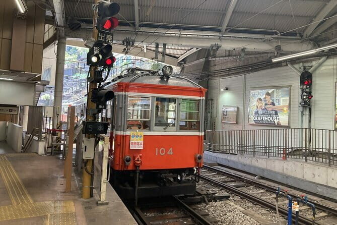 Do You Want to Try Skywalk? A New Way of Enjoying Hakone! - Who Will Love This Tour?