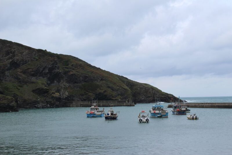 Doc Martin Tour - Highlights of the Tour