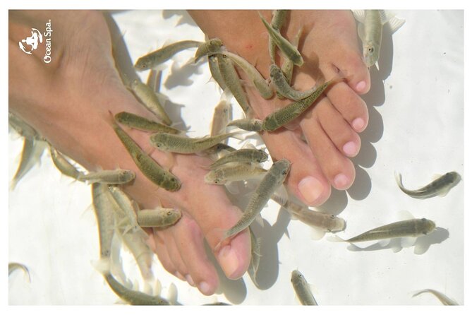Doctor Fish Ocean Spa - Tour Details