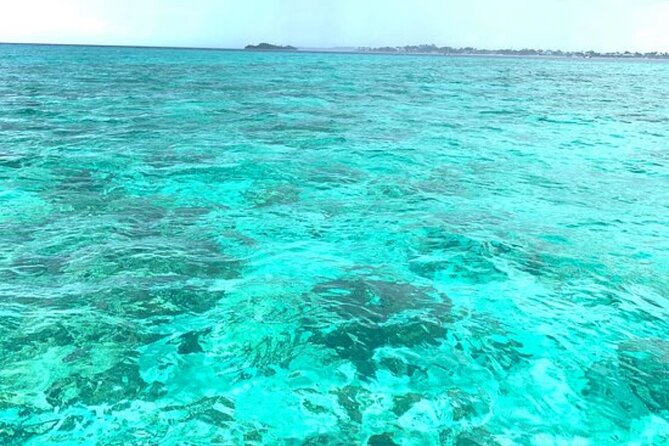 Doctors Cave Beach, Margaritaville,Glass Bottom Boat Ride, and Snorkeling Combo - Doctors Cave Beach Highlights