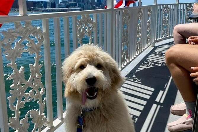 Dog Day of Summer Harbor Cruise in Boston - Cruise Duration and Views
