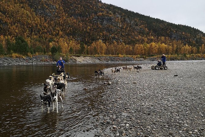Dog Driving With Dog Carriage in the Alta Valley Along the Famous Salmon River - Inclusions