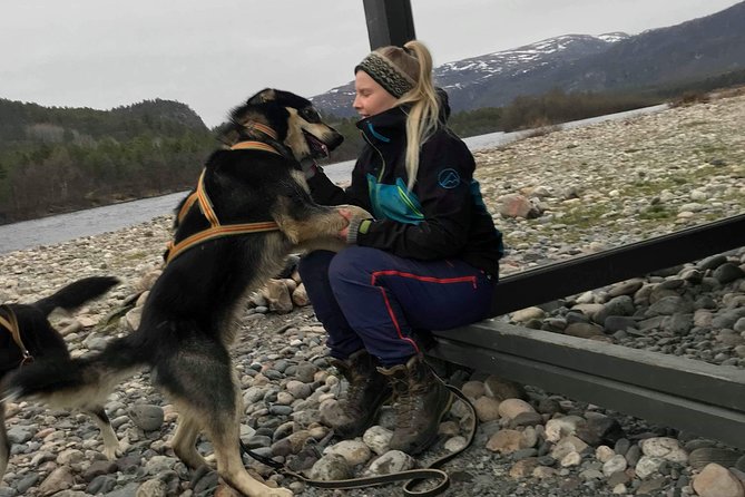 Dog Driving With Dog Carriage in the Alta Valley Along the Famous Salmon River - Private Tour Details