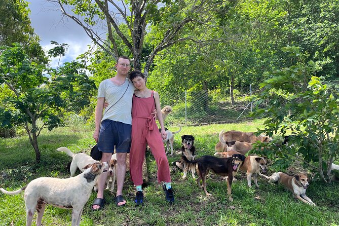 Dog Lovers Guided Tour of the Happy Tails Sanctuary - Visiting the Sanctuary