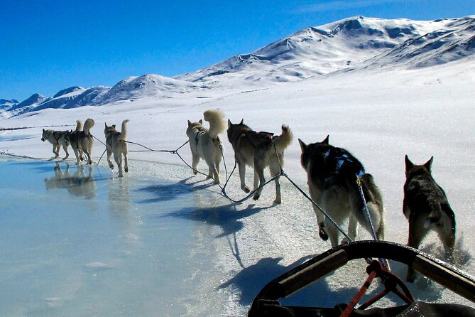 Dog-Pulled ATV Experience|Fairbanks|The Date With Aurora Alaska - Inclusions and Exclusions