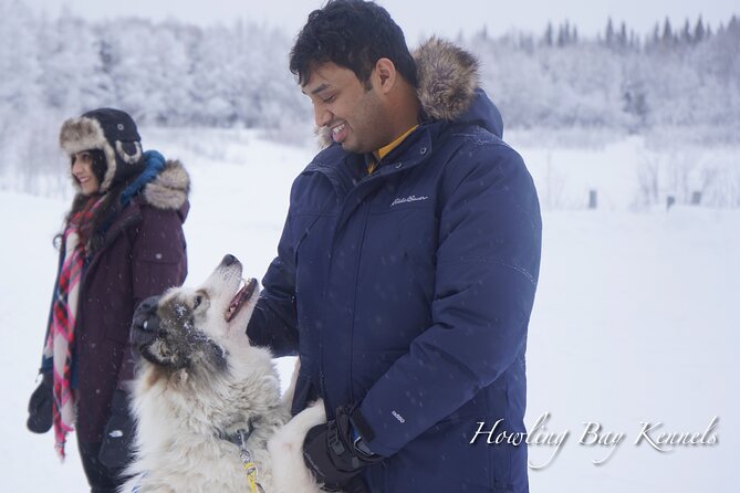 Dog Sled Adventure - Personalized Experience and Amenities