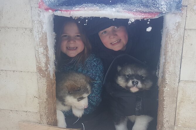 Dog Sled Adventure - Confirmation and Availability
