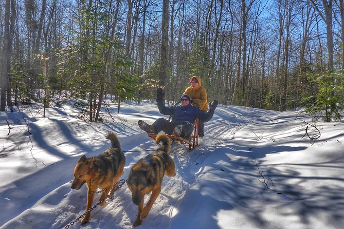 Dog Sledding Adventure From Toronto Private Tour - Inclusive Amenities and Details