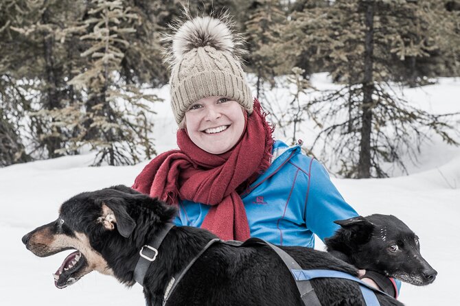 Dog Sledding - Subarctic Wilderness Tour - Meeting and Pickup