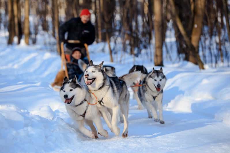 Dog Sledding , Terelj National Park ,Chinggis Khaan Statue - Important Information