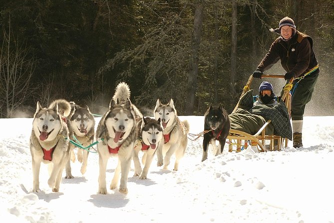 Dogsled Adventure in Mont-Tremblant - Included in the Tour