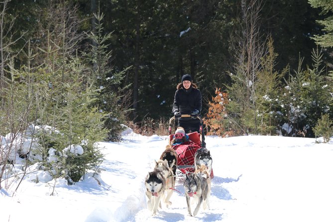 Dogsled Adventure in Mont-Tremblant - Additional Information
