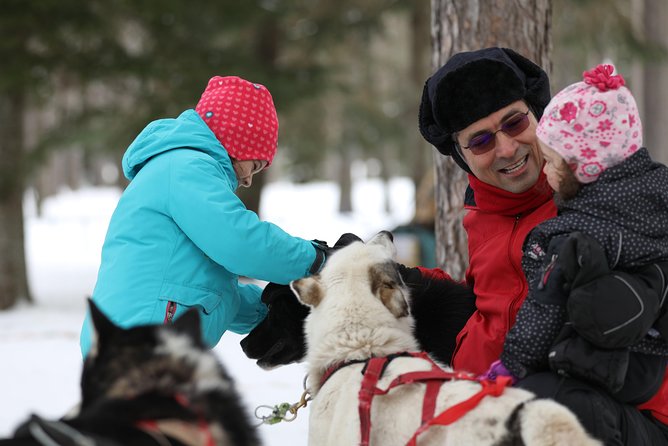 Dogsled Adventure in Mont-Tremblant - Exploring the Winter Scenery
