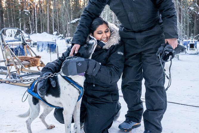 Dogsled and Reindeer Day Trip to Borealis Basecamp - Ongoing Efforts to Improve the Experience