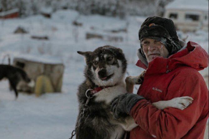Dogsled Rides - What to Expect During the Ride