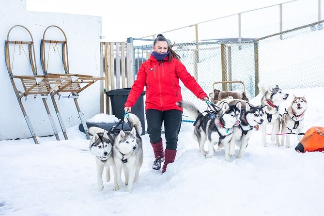 Dogsledding, Near Akureyri - Meeting and Pickup Details