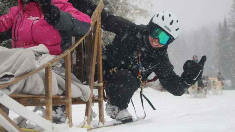 Dogsledding Nordic Adventure near Mont-Tremblant - An Overview of the Dogsledding Adventure
