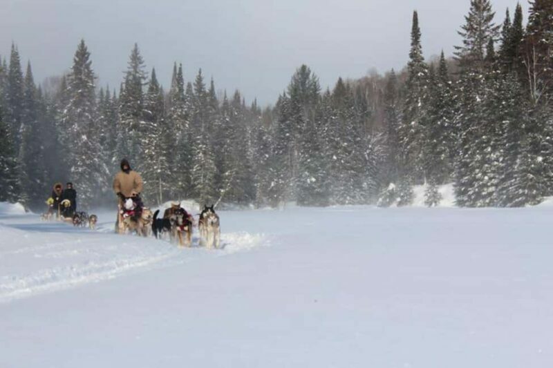 Dogsledding Nordic Adventure near Mont-Tremblant - Who Will Love This Experience?