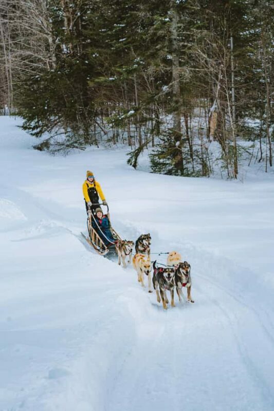 Dogsledding Upper Laurentians near Mont-Tremblant - What to Expect from the Dogsledding Experience