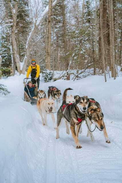 Dogsledding Upper Laurentians near Mont-Tremblant - Authentic Reviews that Echo Our Impressions