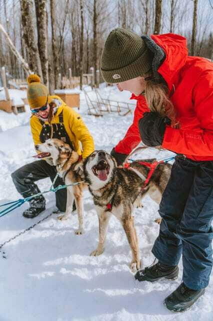 Dogsledding Upper Laurentians near Mont-Tremblant - Final Thoughts: Who Will Love This Tour?
