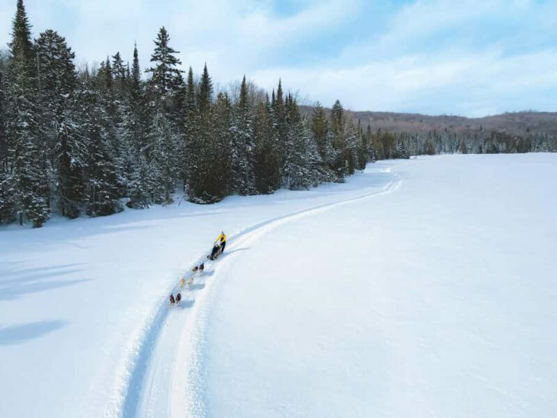 Dogsledding Upper Laurentians near Mont-Tremblant - FAQs