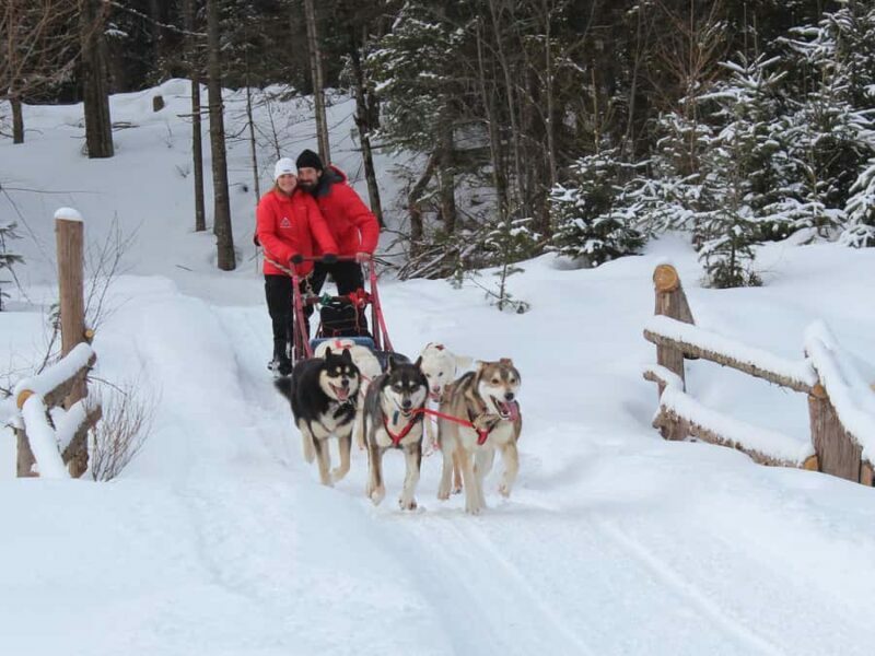 Dogsledding Valley Adventure near Mont-Tremblant - Introduction