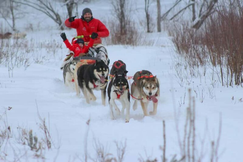 Dogsledding Valley Adventure near Mont-Tremblant - The Importance of the Guides and Scenery