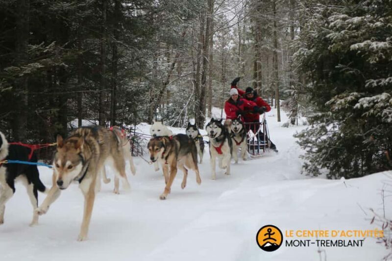 Dogsledding Valley Adventure near Mont-Tremblant - Value and Pricing