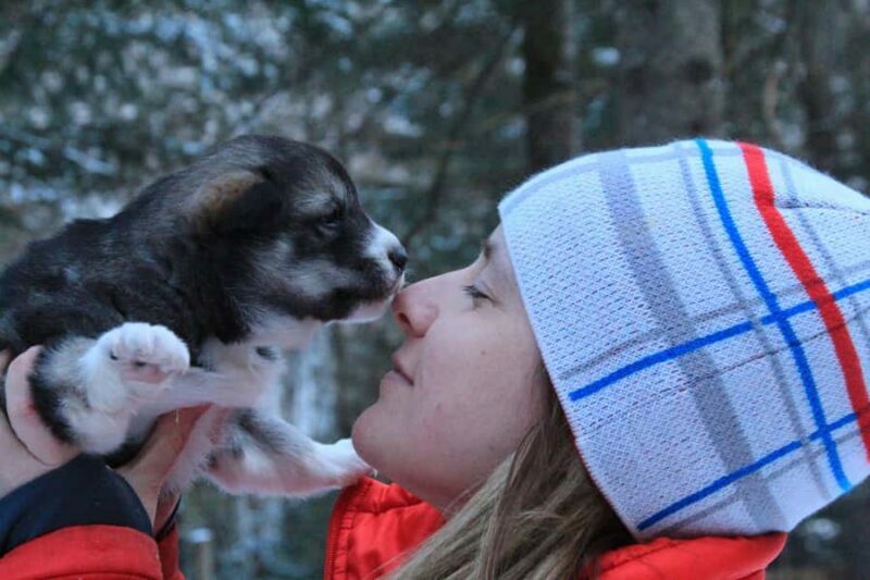Dogsledding Valley Adventure near Mont-Tremblant - The Sum Up