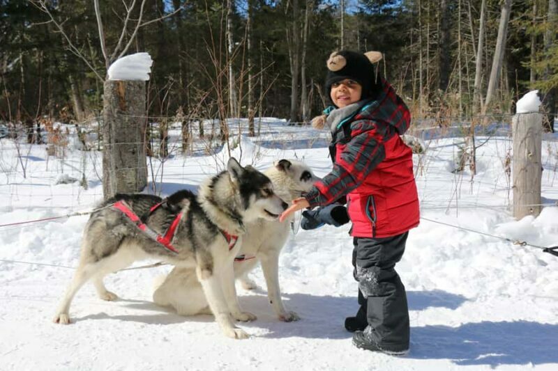 Dogsledding Valley Adventure near Mont-Tremblant - FAQ