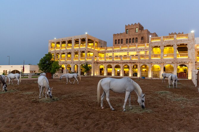 Doha City Highlights Guided Tour With Dhow Cruise - Inclusions of the Tour Package