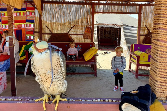 Doha-City Tour With Anna(Licensed Tour Guide) - Accessibility and Information