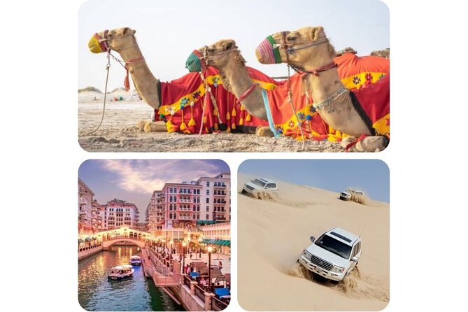 Doha : Combo Private City Tour & Half-day Desert Safari - Inclusions
