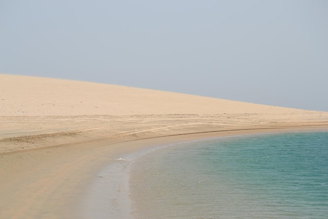 Doha: Desert Safari, Dune Bashing, Camel Ride, Sandboarding & Inland Sea - Dune Bashing in 4x4 Vehicles